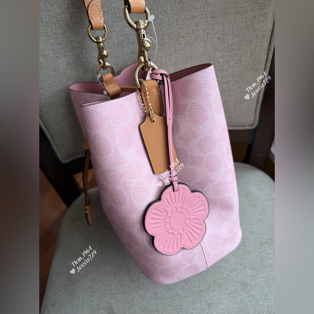 NWT！COACH Rowan Bucket Bag In Signature Canvas With Charms（CEA23）fast shipping - Picture 4 of 15